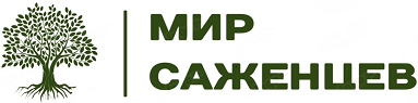 Мир Саженцев